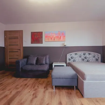 For A Short Rent In Kaunasbutas Trumpalaikei Nuomai Kaune كاوناس