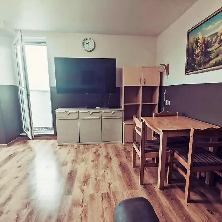 For A Short Rent In Kaunasbutas Trumpalaikei Nuomai Kaune Διαμέρισμα