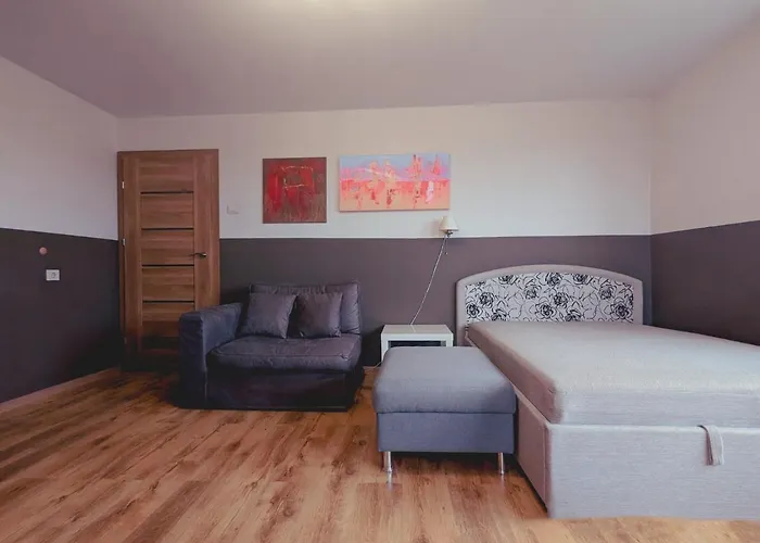 For A Short Rent In Kaunasbutas Trumpalaikei Nuomai Kaune 考纳斯