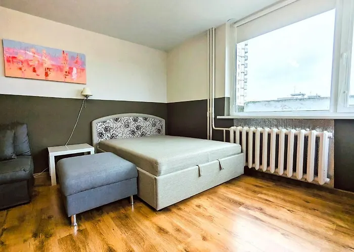 For A Short Rent In Kaunasbutas Trumpalaikei Nuomai Kaune 公寓